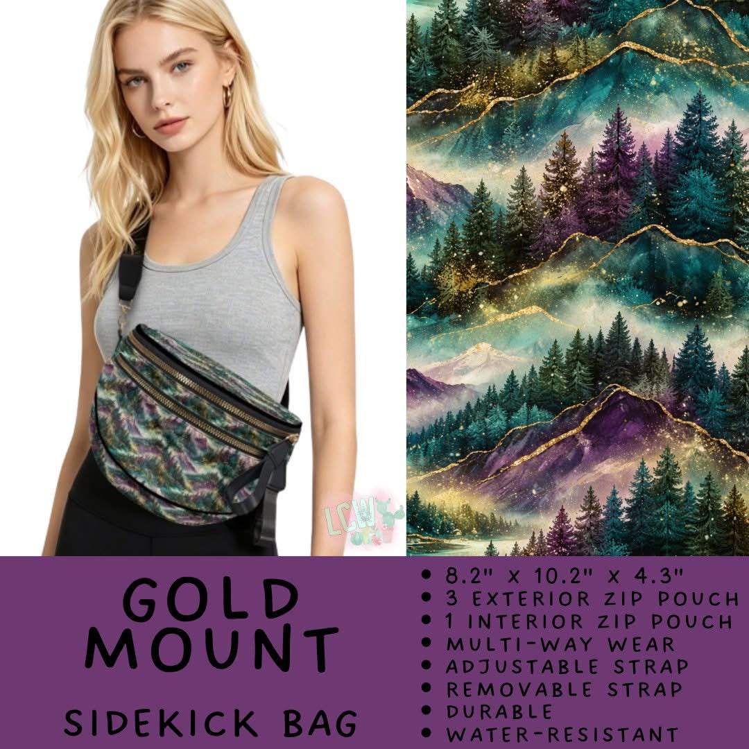 #6020 Sidekick Bags