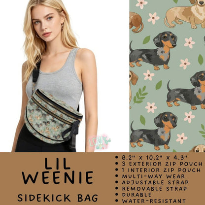 #6020 Sidekick Bags