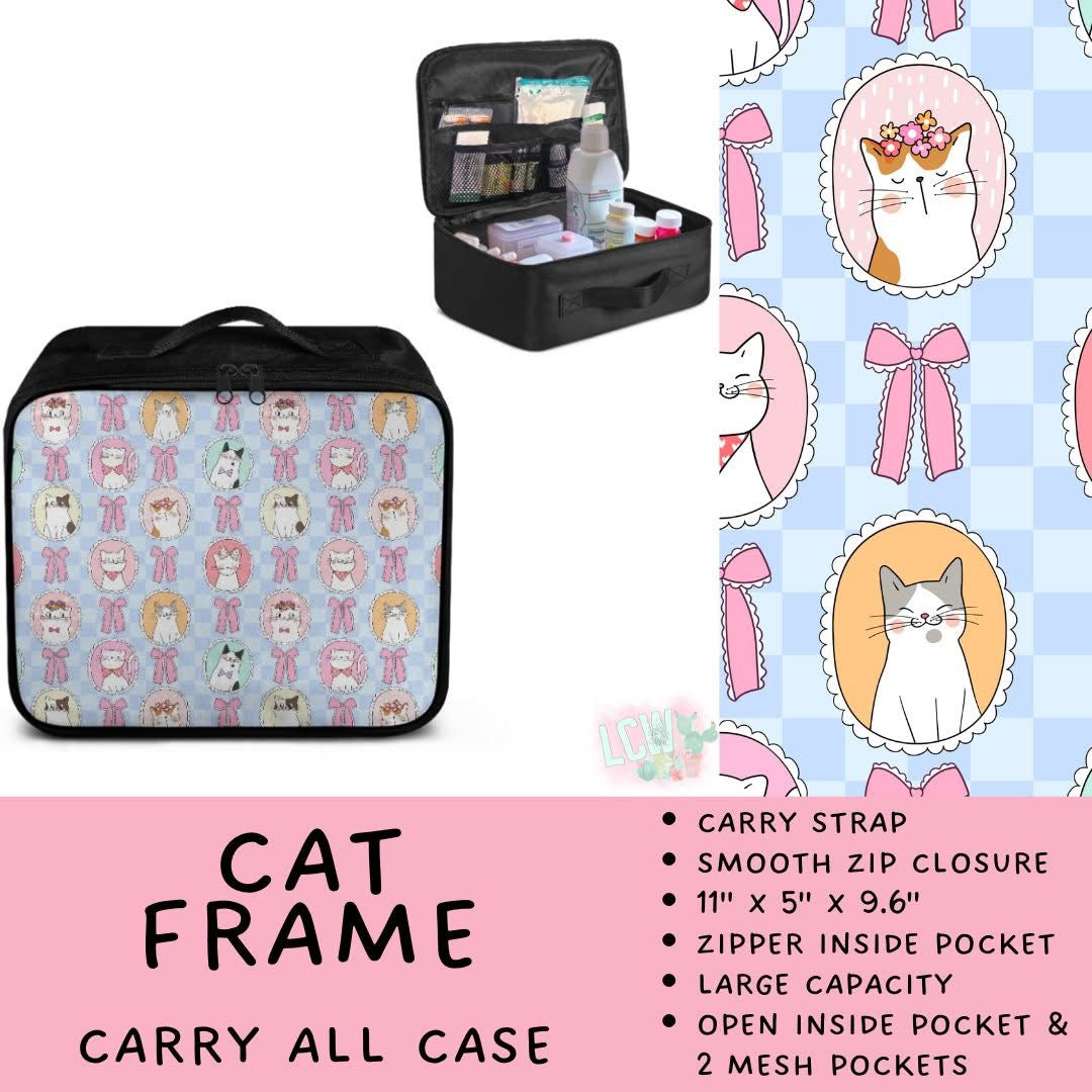 5747 carry all case