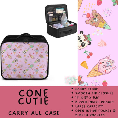 5747 carry all case