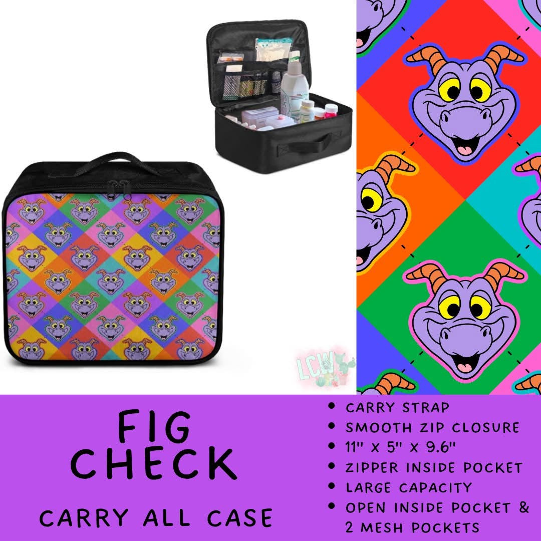 5747 carry all case
