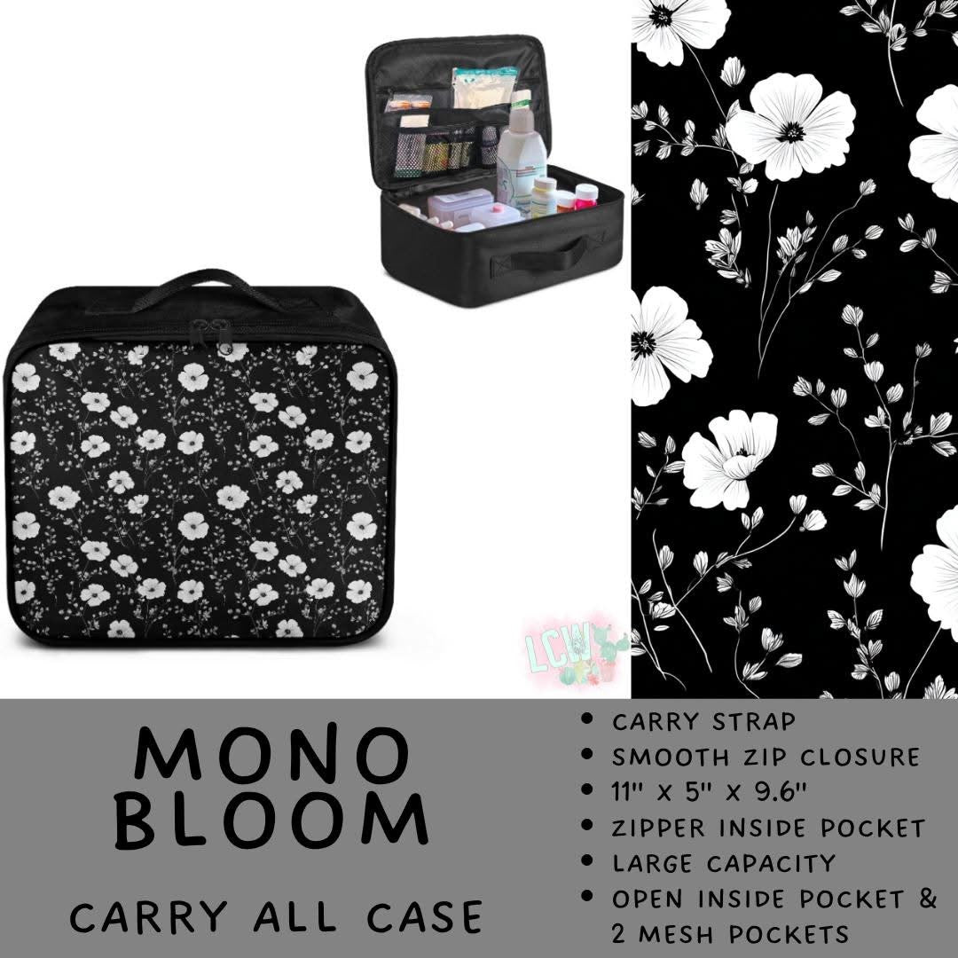 5747 carry all case