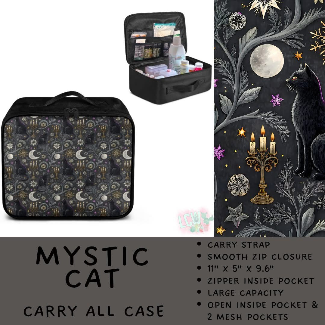 5747 carry all case