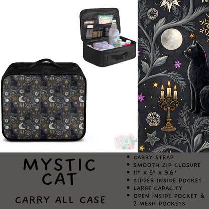 5747 carry all case