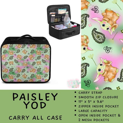 5747 carry all case