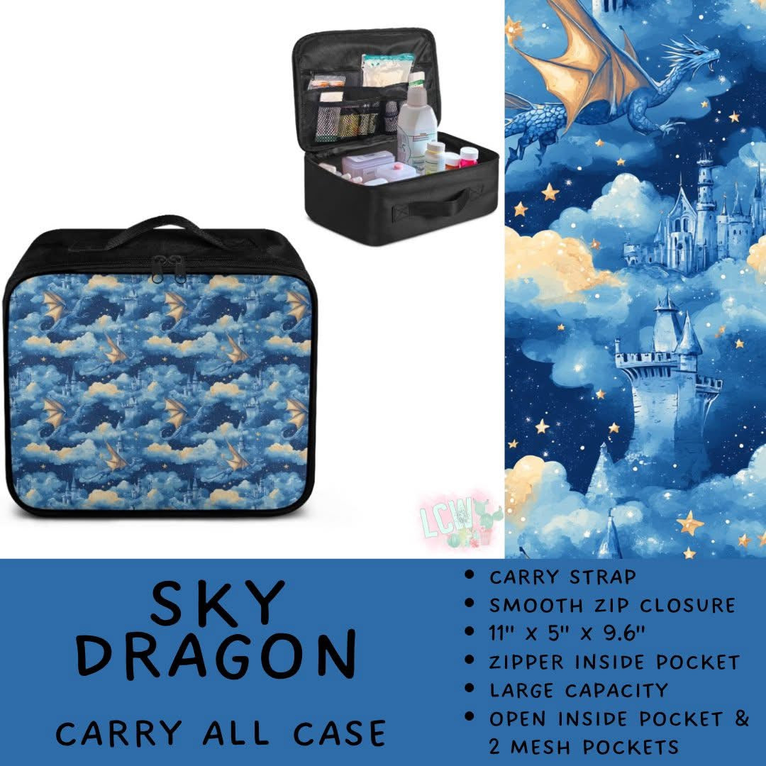 5747 carry all case