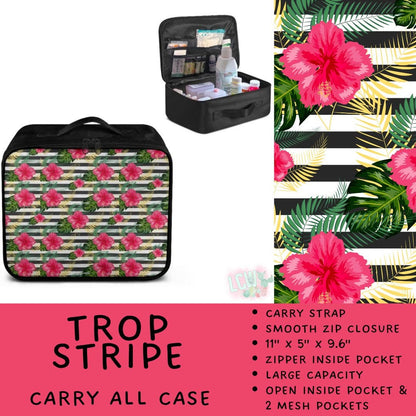 5747 carry all case