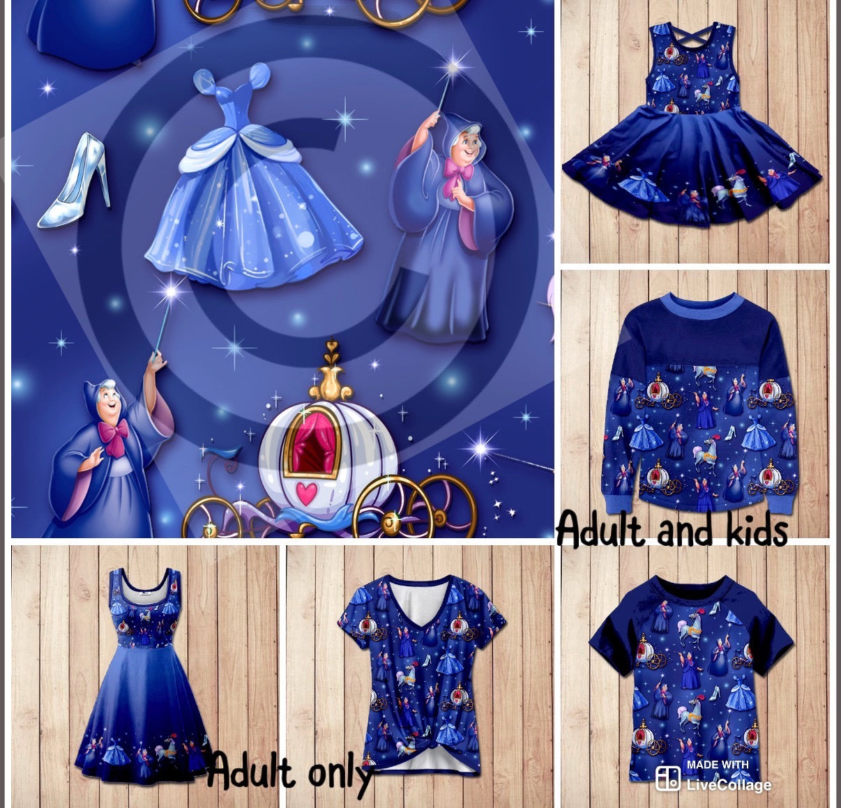 #5681 fairy godmother